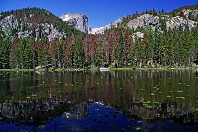 144 rocky mountains, nymph lake.JPG